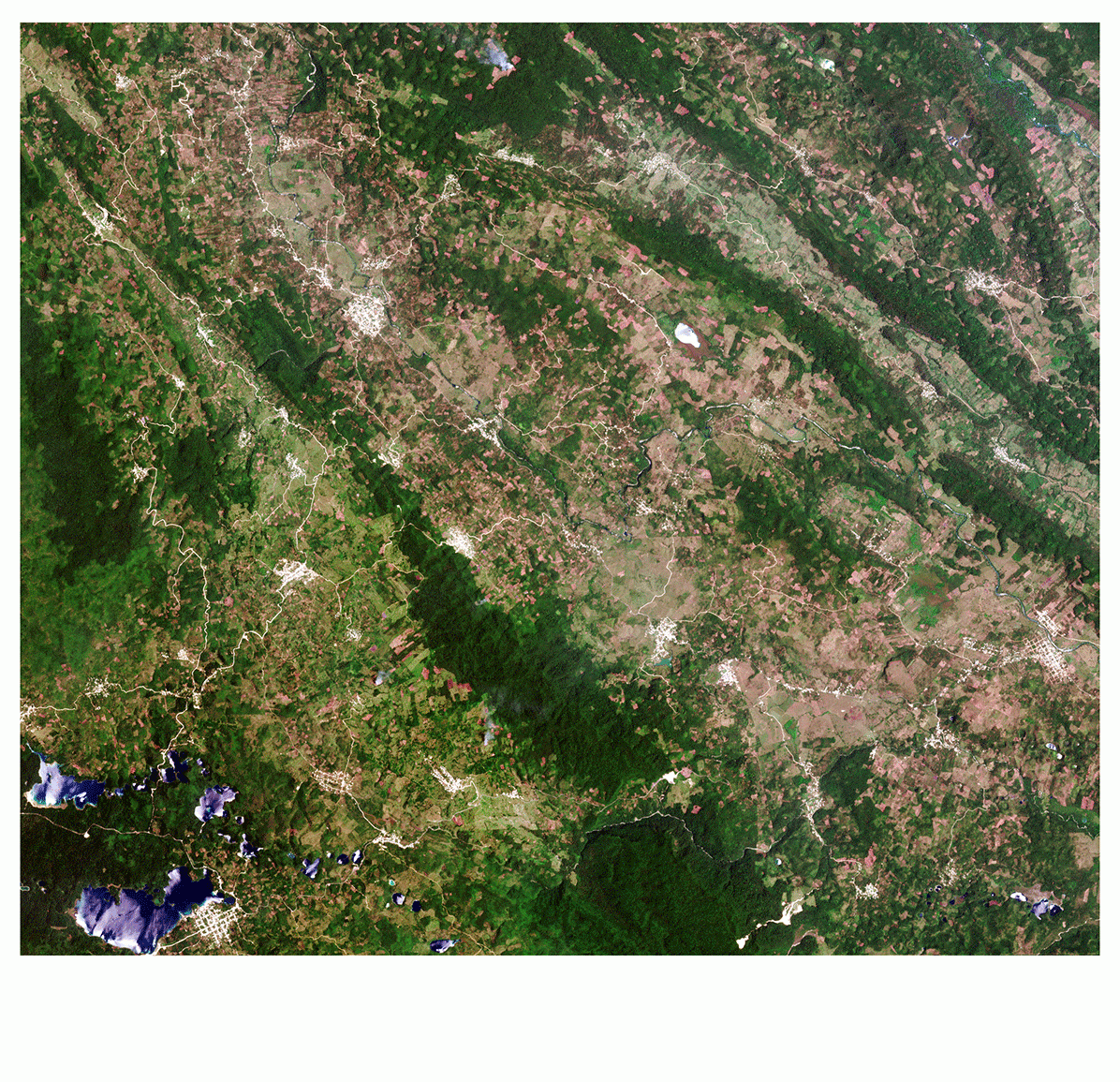 Mapa detallado de la cubierta terrestre de los bosques del estado de Chiapas, en el sur de México.
