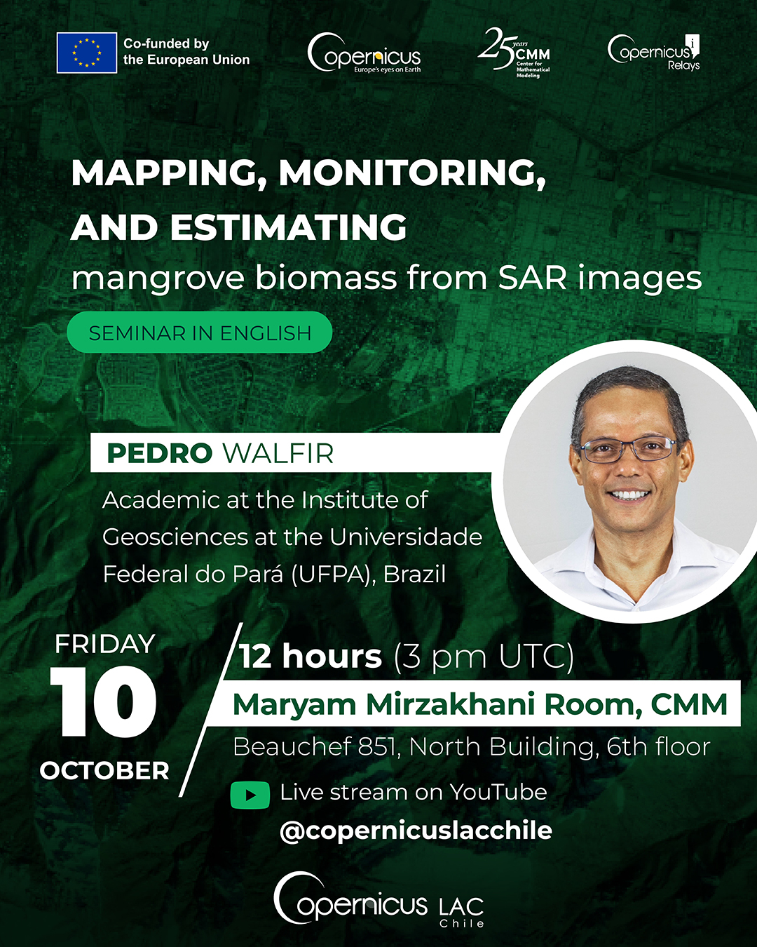 Seminario Copernicus: Mapping, monitoring, and estimating mangrove biomass from SAR images