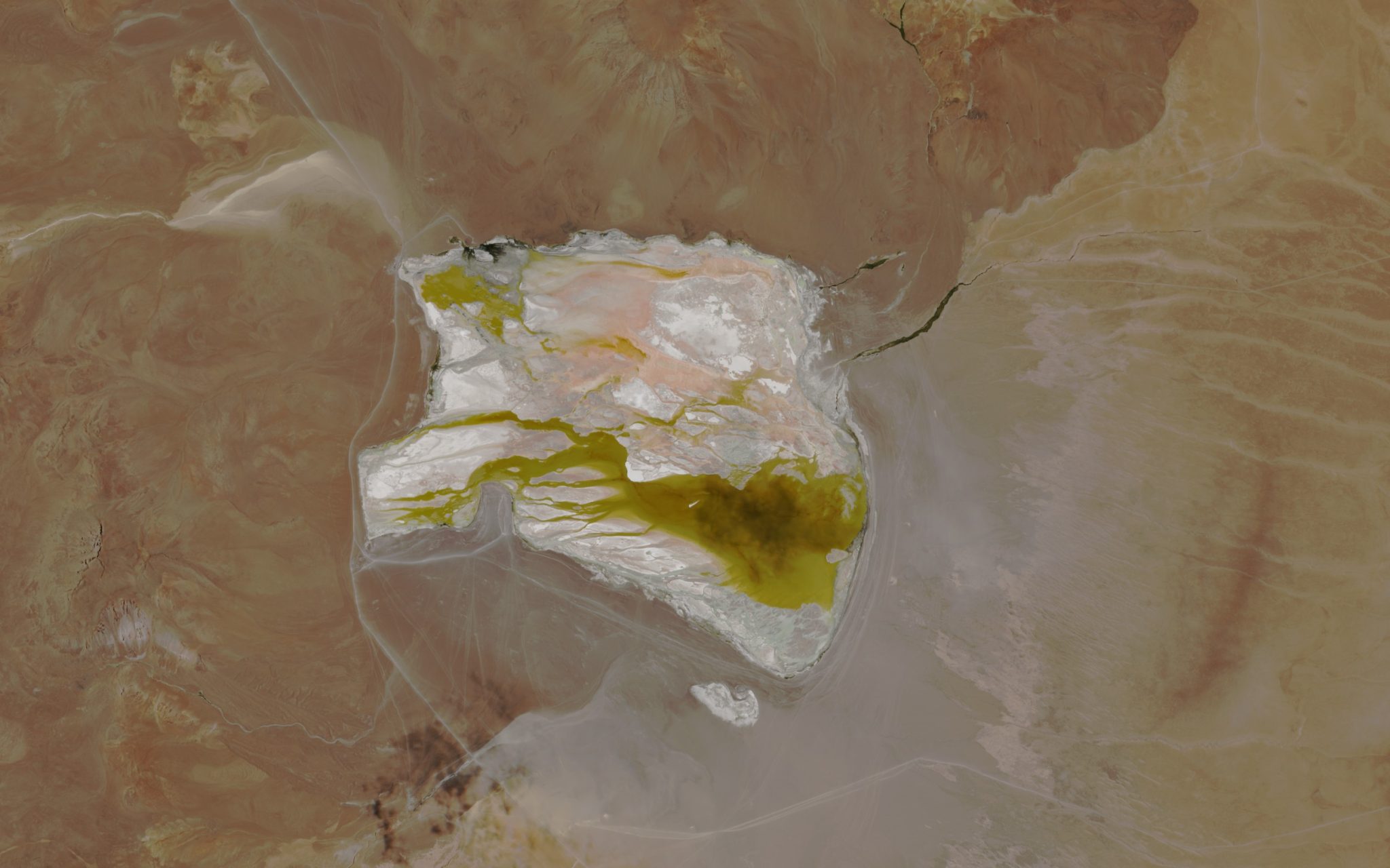 Laguna Colorada, Bolivia
